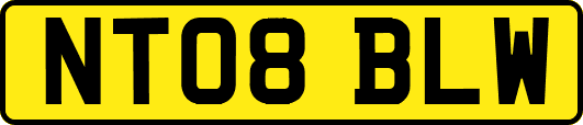 NT08BLW