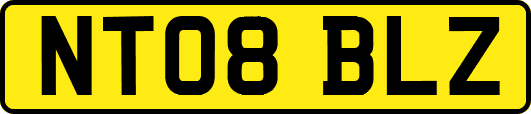 NT08BLZ