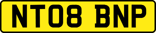 NT08BNP