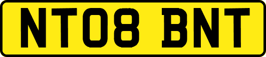 NT08BNT