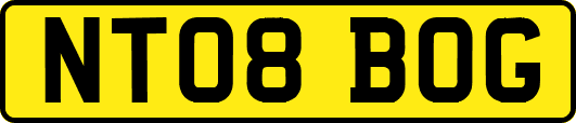 NT08BOG