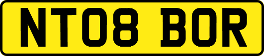 NT08BOR