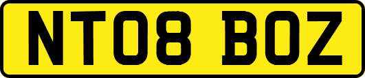 NT08BOZ