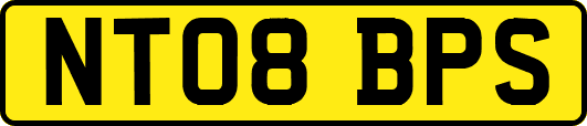NT08BPS