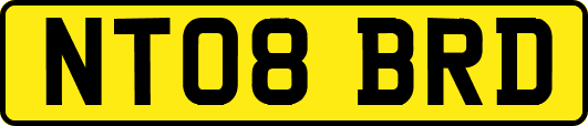 NT08BRD
