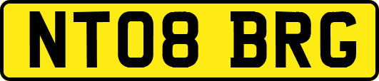 NT08BRG