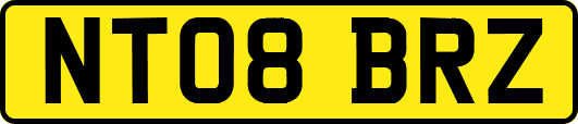 NT08BRZ