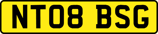 NT08BSG
