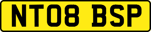 NT08BSP