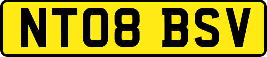 NT08BSV