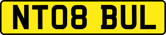 NT08BUL