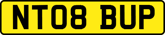 NT08BUP