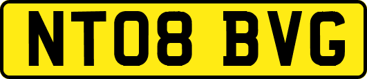 NT08BVG