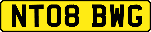 NT08BWG