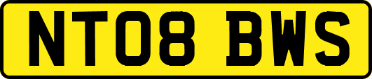 NT08BWS