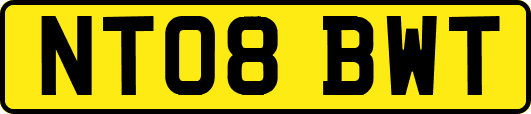 NT08BWT