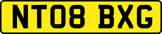 NT08BXG