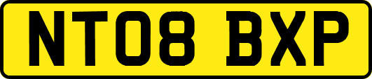 NT08BXP