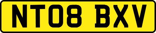 NT08BXV