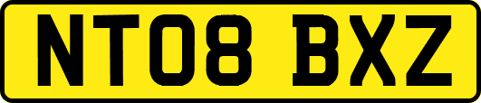 NT08BXZ