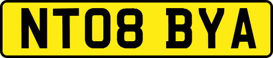 NT08BYA