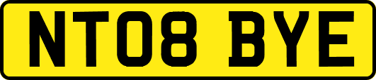 NT08BYE