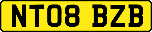 NT08BZB