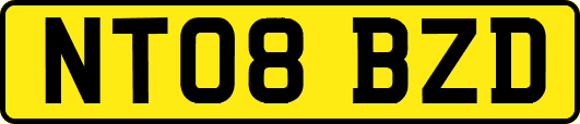 NT08BZD