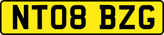 NT08BZG
