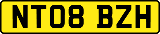 NT08BZH