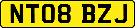 NT08BZJ