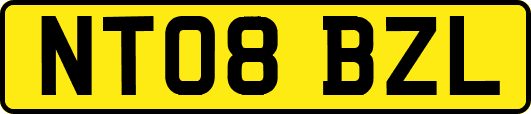 NT08BZL