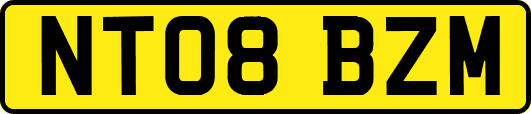 NT08BZM