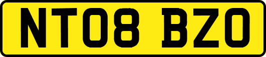 NT08BZO