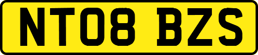 NT08BZS