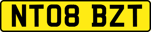 NT08BZT