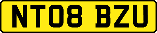 NT08BZU