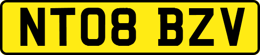 NT08BZV
