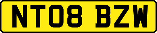 NT08BZW