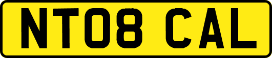 NT08CAL