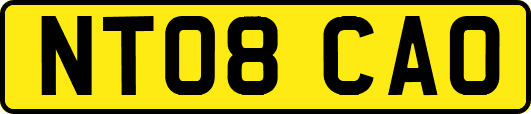 NT08CAO