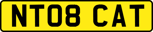 NT08CAT