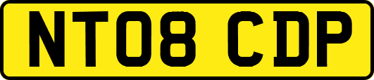 NT08CDP
