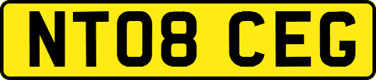 NT08CEG