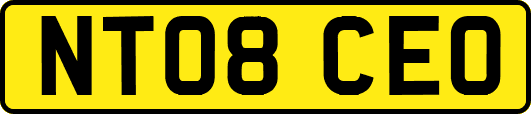 NT08CEO