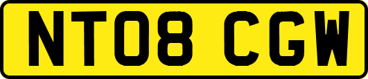NT08CGW