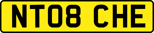 NT08CHE