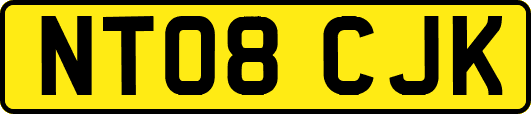 NT08CJK