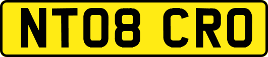 NT08CRO