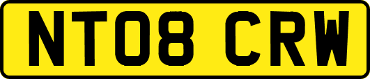 NT08CRW